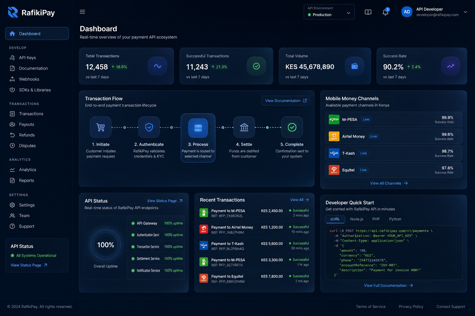 RafikiPay product interface preview